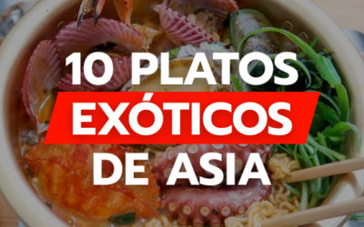 Los 10 platos más exóticos que debes probar en tu viaje a Asia